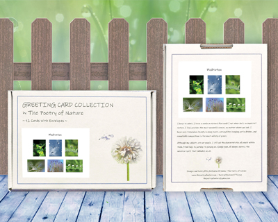 Meditation -  Greeting Card Collection by The Poetry of Nature - peaceful, soothing, zen meditation cards, photo cards with poems